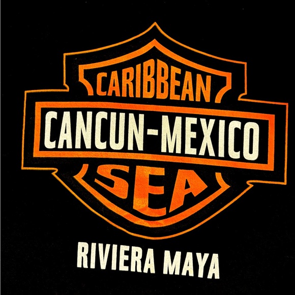 Harley-Davidson Tops - Harley Davidson tshirt